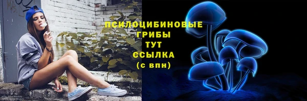 хмурый Арсеньев