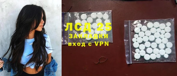 хмурый Арсеньев