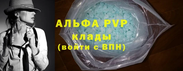 хмурый Арсеньев