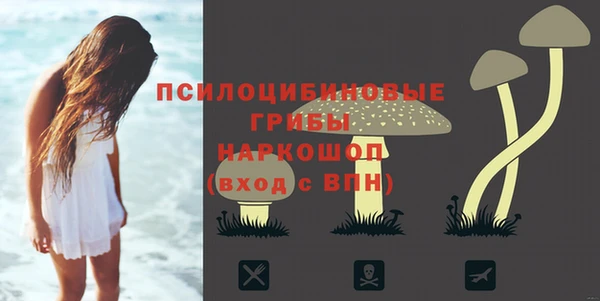 хмурый Арсеньев