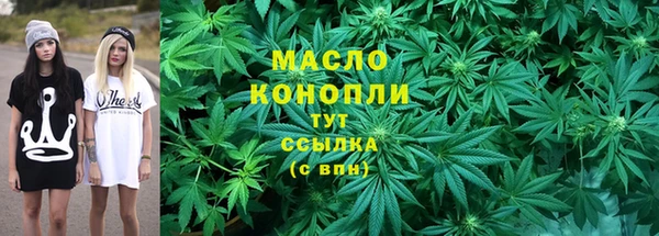 хмурый Арсеньев
