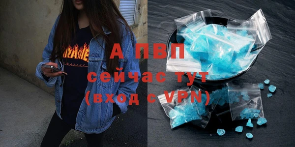 хмурый Арсеньев