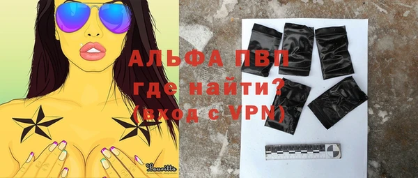 хмурый Арсеньев