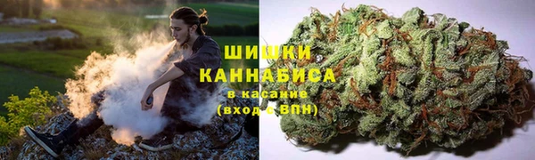 хмурый Арсеньев